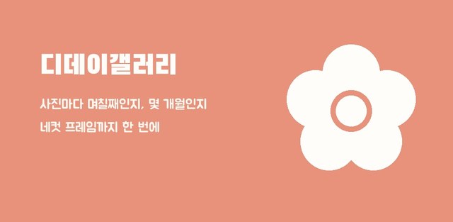 디데이갤러리 — 사진마다 며칠째인지, 몇 개월인지