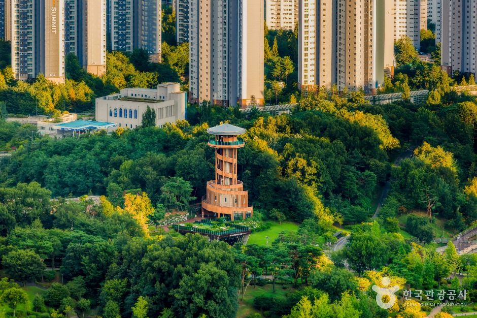 공원 속 전망대와 도심 아파트 전경
